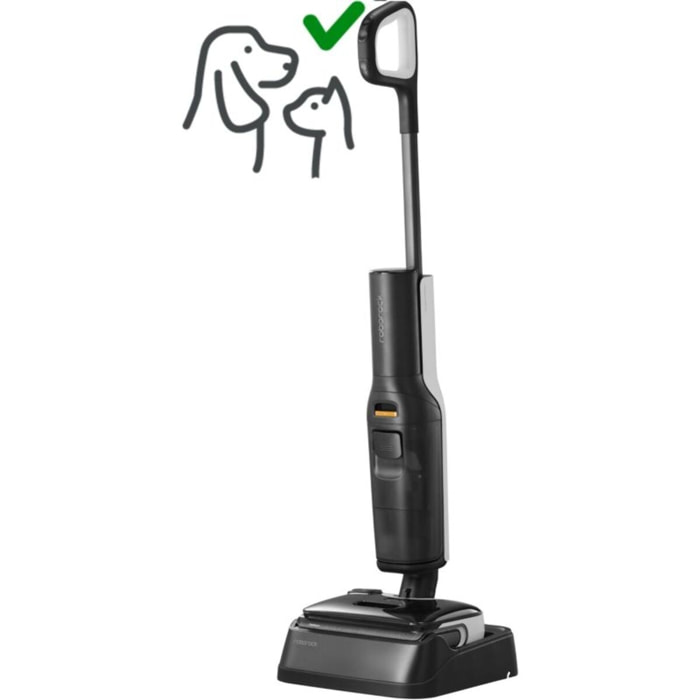 Aspirateur laveur ROBOROCK F25 Grey