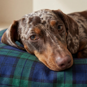 Lit pour animaux déhoussable et antitaches Romo