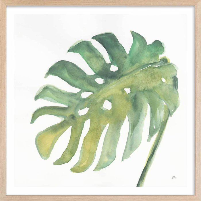 Affiche Plame watercolor Affiche + cadre en bois - Chêne