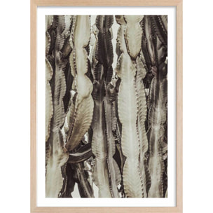 Poster cactus mood Affiche + cadre en bois - Chêne