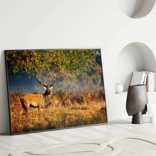 Affiche encadrée cerf en forêt automnale Affiche + cadre en métal - Noir