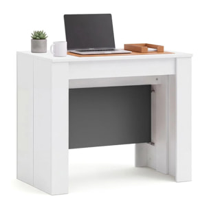 Mesa consola extensible en blanco artik y gris grafito 50-235x90 cm Denis Blanco Artik (Blanco Mate) - Gris Grafito