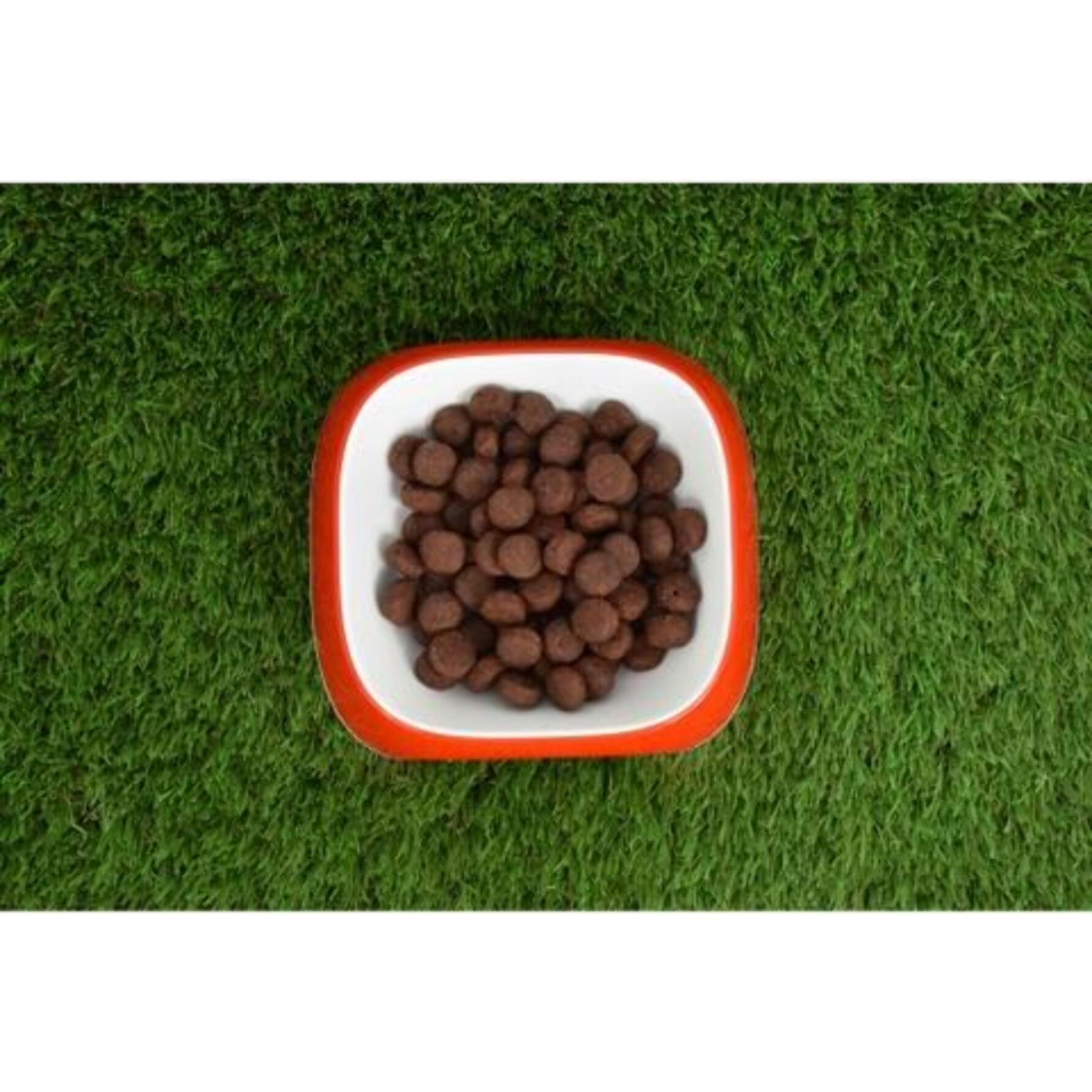 PLANETA HUERTO | Comida Húmeda Grain Free para Perros Adultos con Pollo y Pato, 380g - Alimento Natural Sin Cereales, Rico en Proteínas y Vitaminas