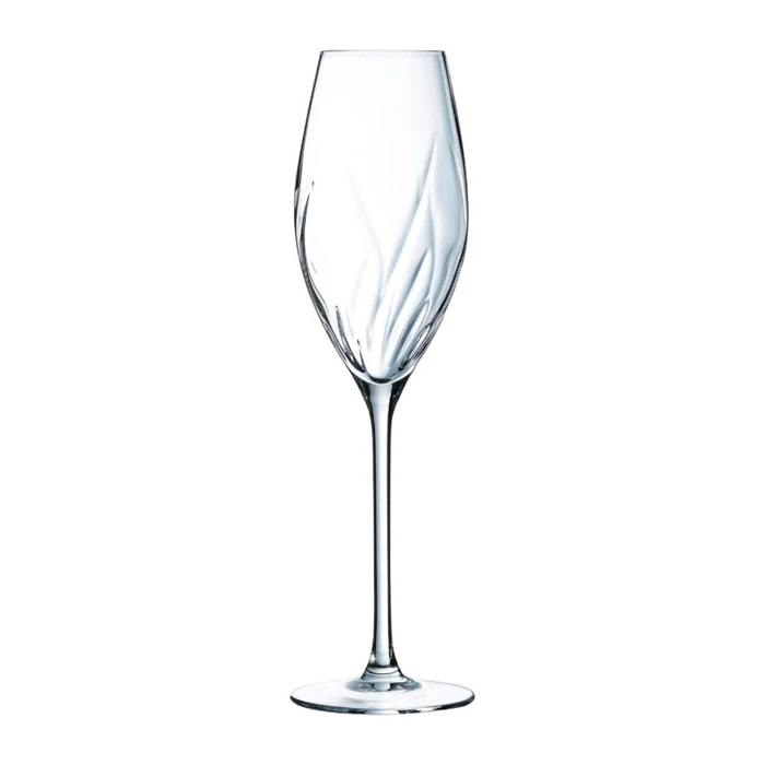 8 copas de champán de vidrio 24 cl Swirly - Cristal d'Arques