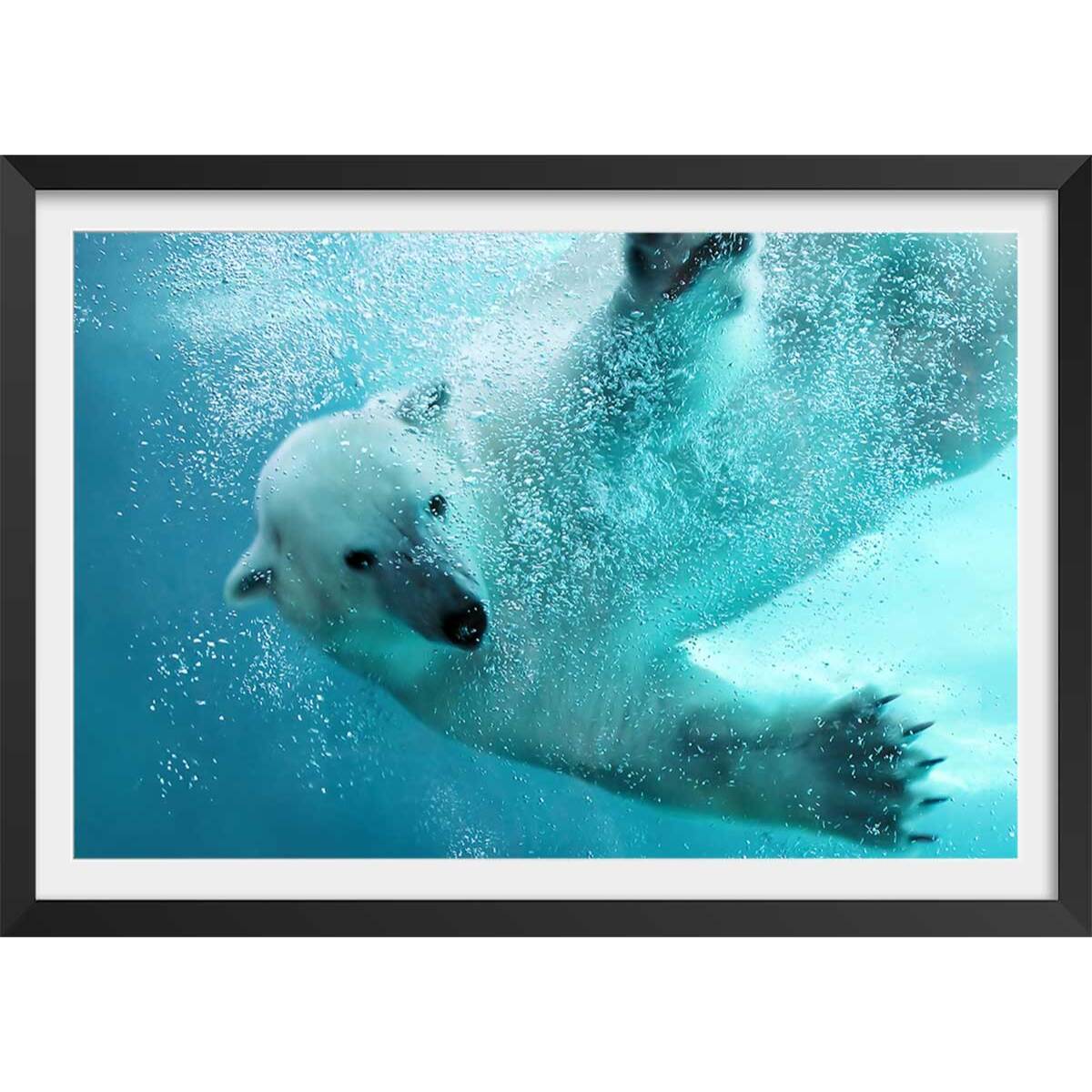 Affiche ours blanc en plein plongeon Affiche + cadre en bois - Noir