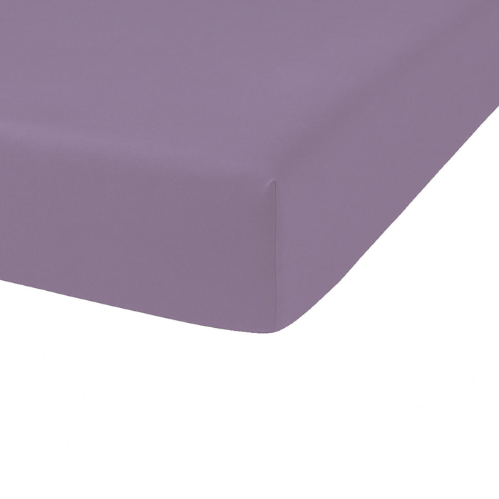 Drap Housse Percale - Bonnet:25cm Figue