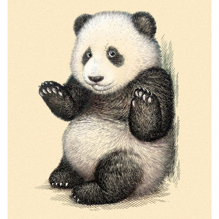 Tableau enfant Affiche illustration vintage panda Toile imprimée