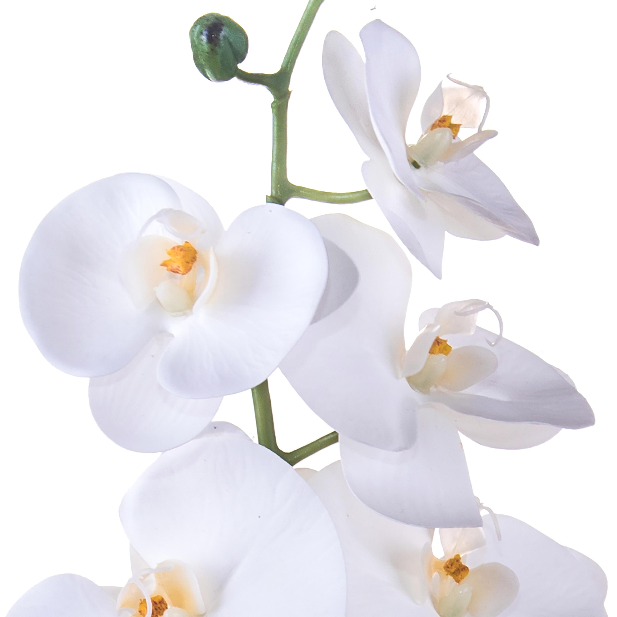 Phalaenopsis Con 8 Fiori. Altezza 103 Cm - Pezzi 4 - 20X103X9cm - Colore: Bianco - Bianchi Dino - Fiori Artificiali