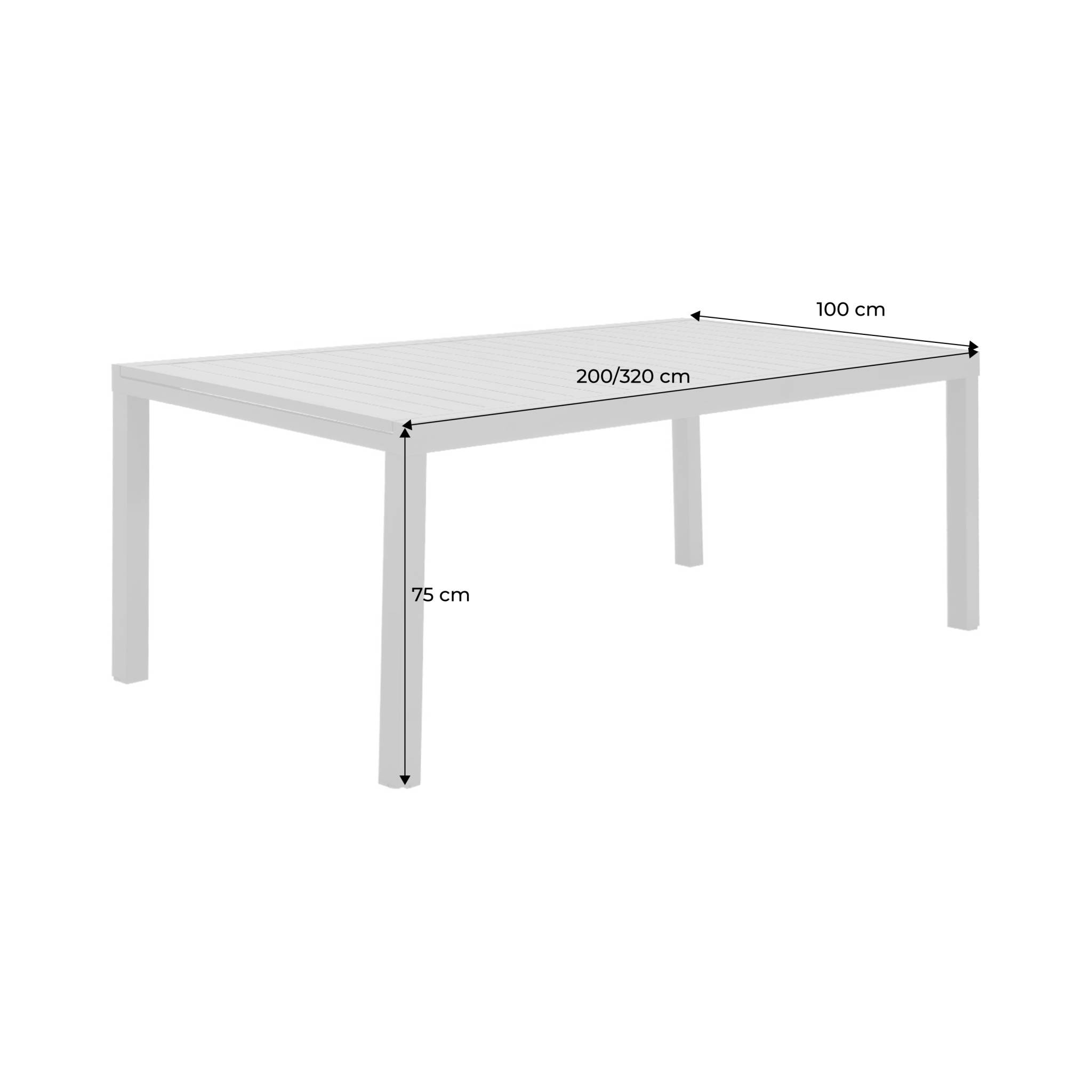 Table de jardin extensible aluminium 10-12 places ELORA
