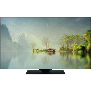 TV OLED PANASONIC TV-55Z80AEZ