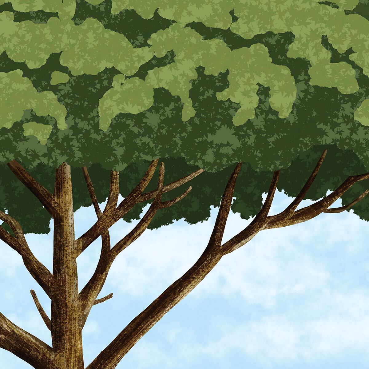 Papier peint panoramique Parapente sur la dune  Intissé