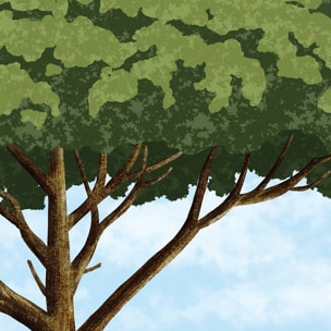 Papier peint panoramique Parapente sur la dune  Intissé