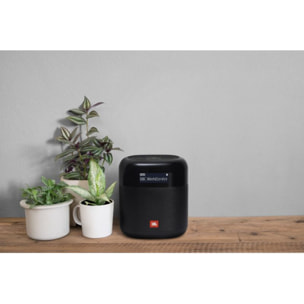 Radio DAB JBL Tuner XL Noir