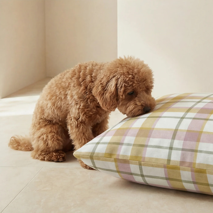 Housse antitaches pour lit pour animal Benimodo