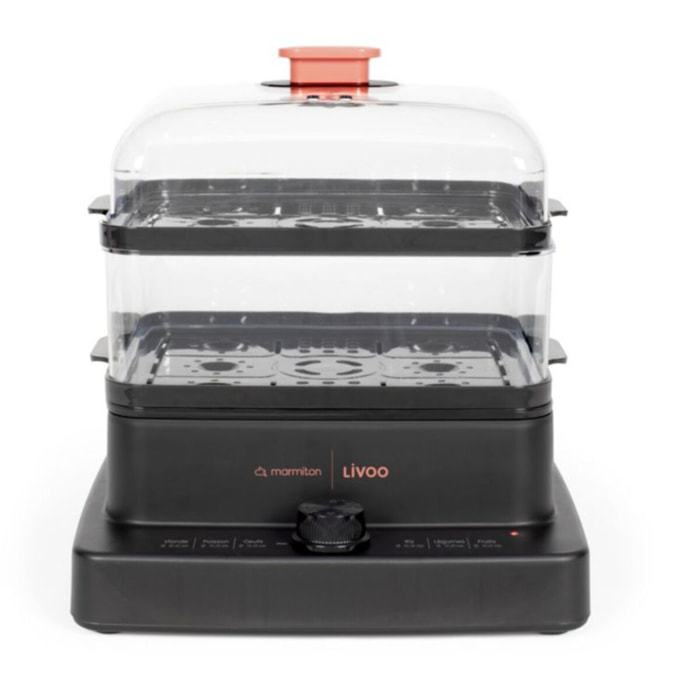 Cuiseur vapeur LIVOO DOC 300
