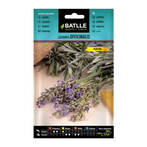 Semillas de Lavanda Batlle