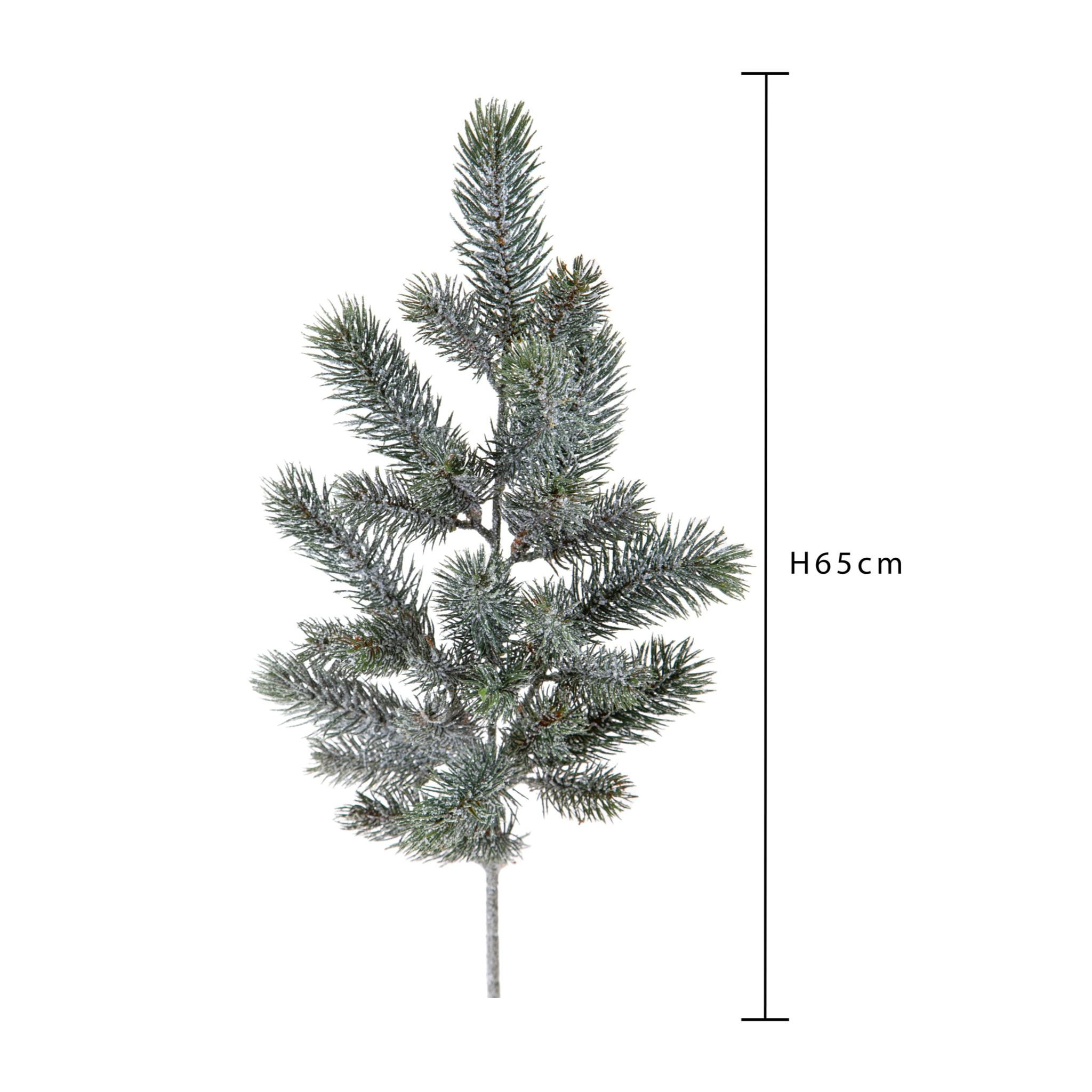 Abete ramo - Pezzi 12 - 21xH65x19cm - Bianchi Dino SpA