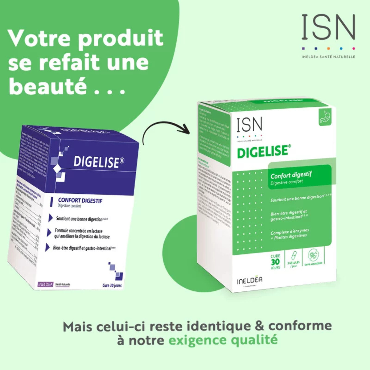 Ineldea Santé Naturelle - Digelise - Complément alimentaire naturel - Soutient une bonne digestion - Favorise le bien-être gastro-intestinal - Sans gluten - Sans OGM - Cure de 30 j - 90 gélules végétales