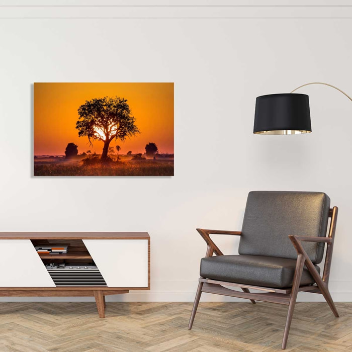 Tableau la savane Tableau alu Dibond