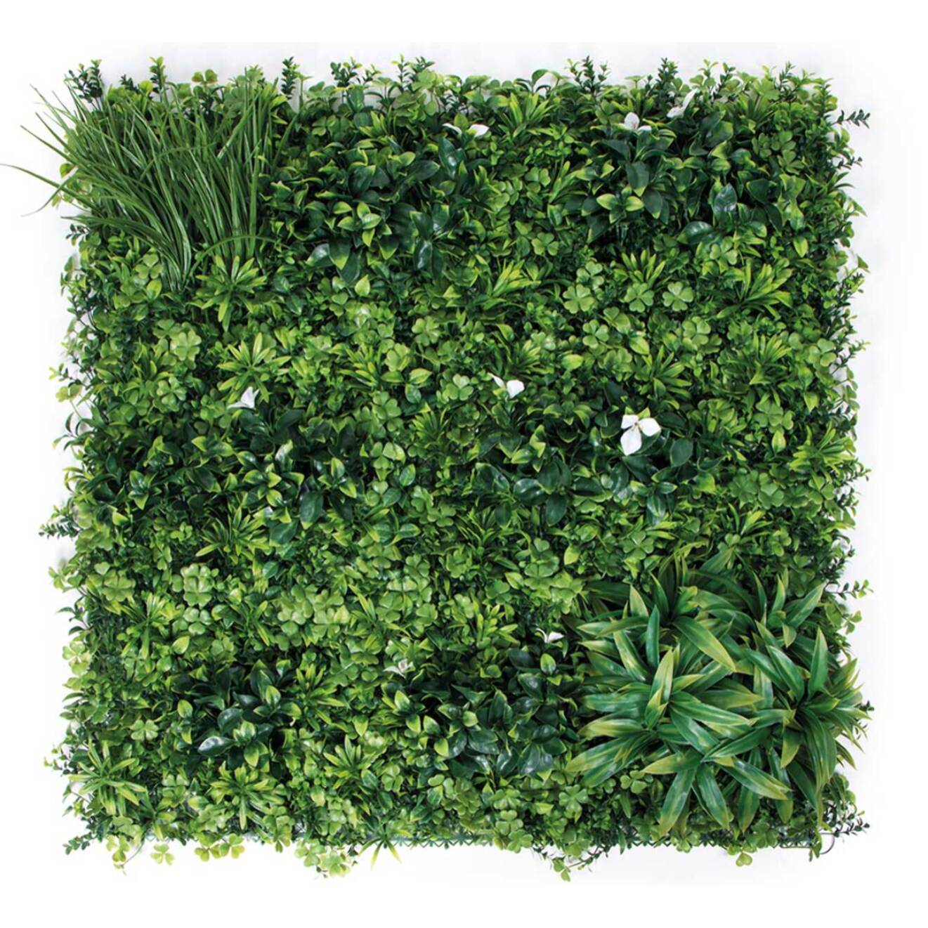 Jardin Vertical Forest 100x100 Cm