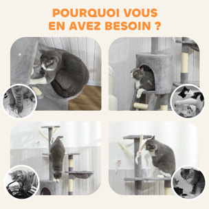 Arbre à chat multi-équipement griffoirs plateformes niche échelle hamac jouets gris