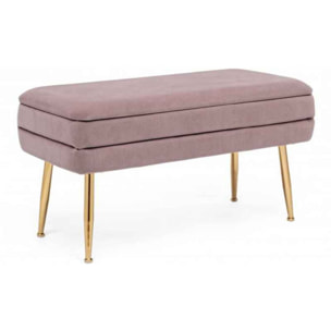 PANCA CONTENITORE PAVLINA MAUVE 80X38X42 cm