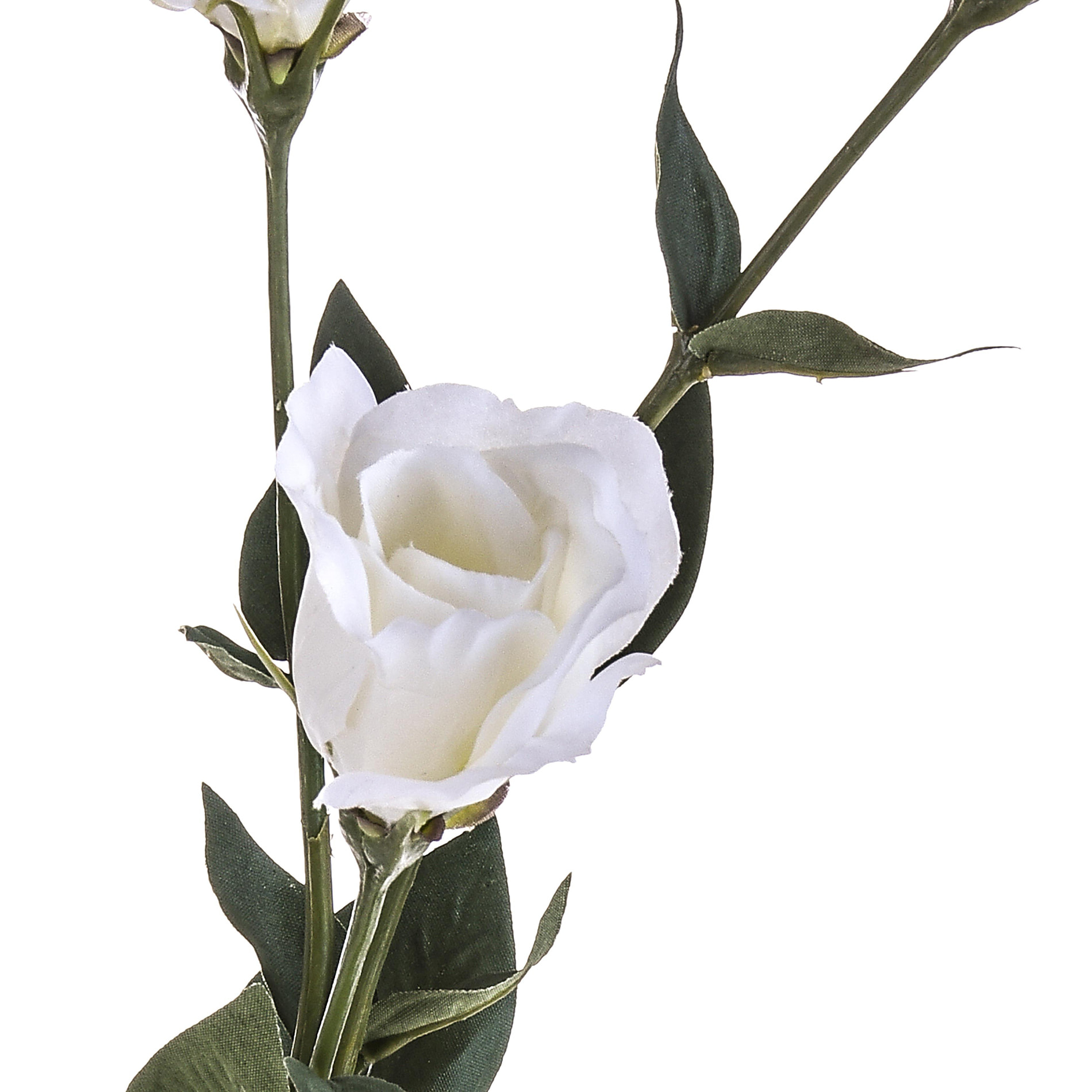 Lisianthus Composto Da 3 Fiori. Altezza 75 Cm - Pezzi 6 - 10X75X19cm - Colore: Bianco - Bianchi Dino - Fiori Artificiali