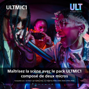 Micro SONY Pack de 2 MICRO SONY ULT