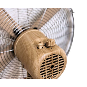 Ventilateur EWT WOODAIR FLOOR