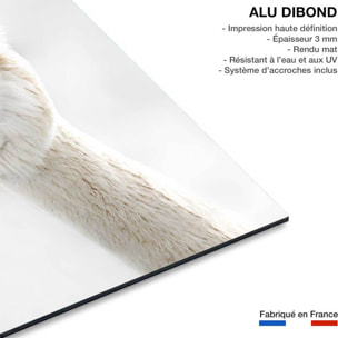 Tableau animaux lama laine  Tableau alu Dibond