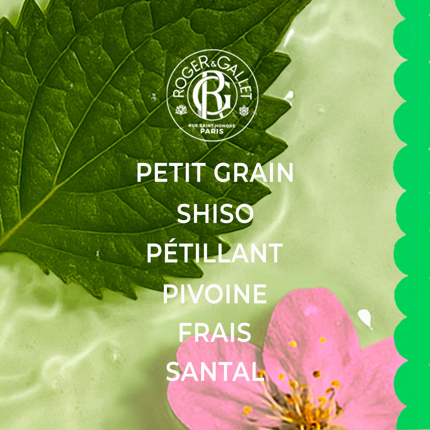 Shiso - Eau Parfumée Bienfaisante 100 ml