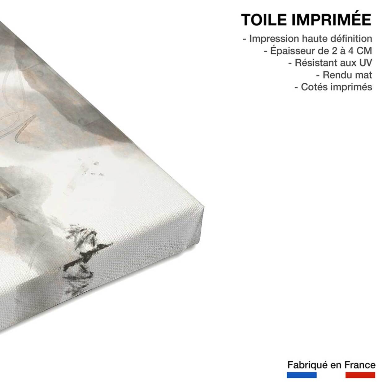 Tableau abstraite Chaos sauvage Toile imprimée