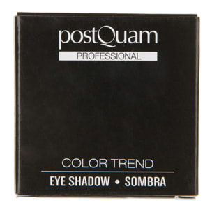Fard a paupieres postquam silver 3 gr.