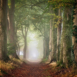 Tableau paysage sur le chemin Tableau plexiglas