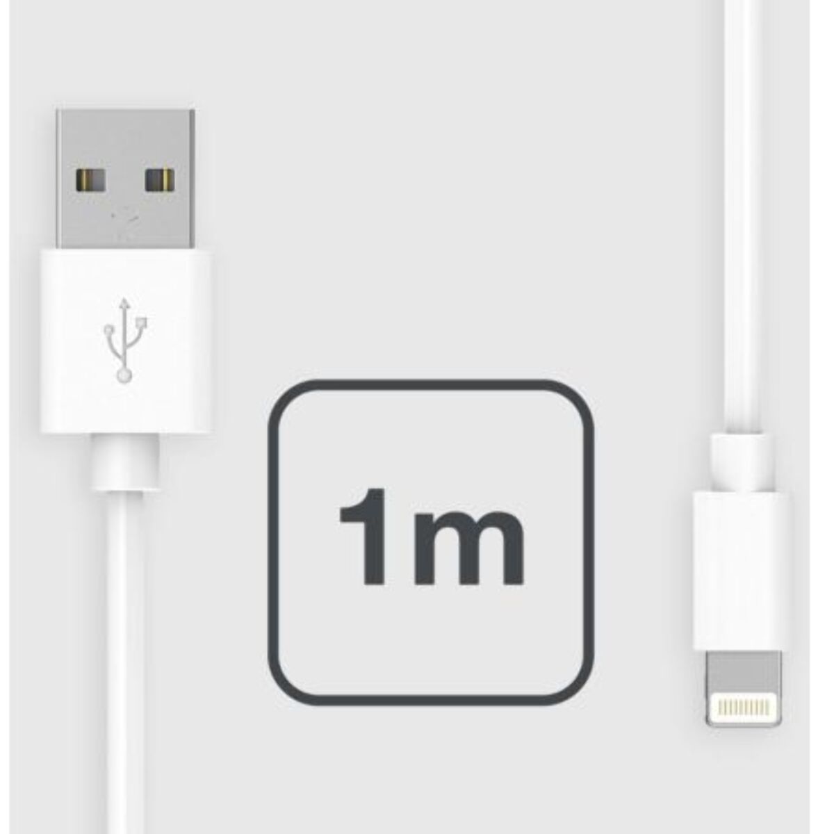 Câble Lightning ESSENTIELB vers USB 1M certifié Apple Blanc compatible iPhone 14 13 12 Pro Max et iPad