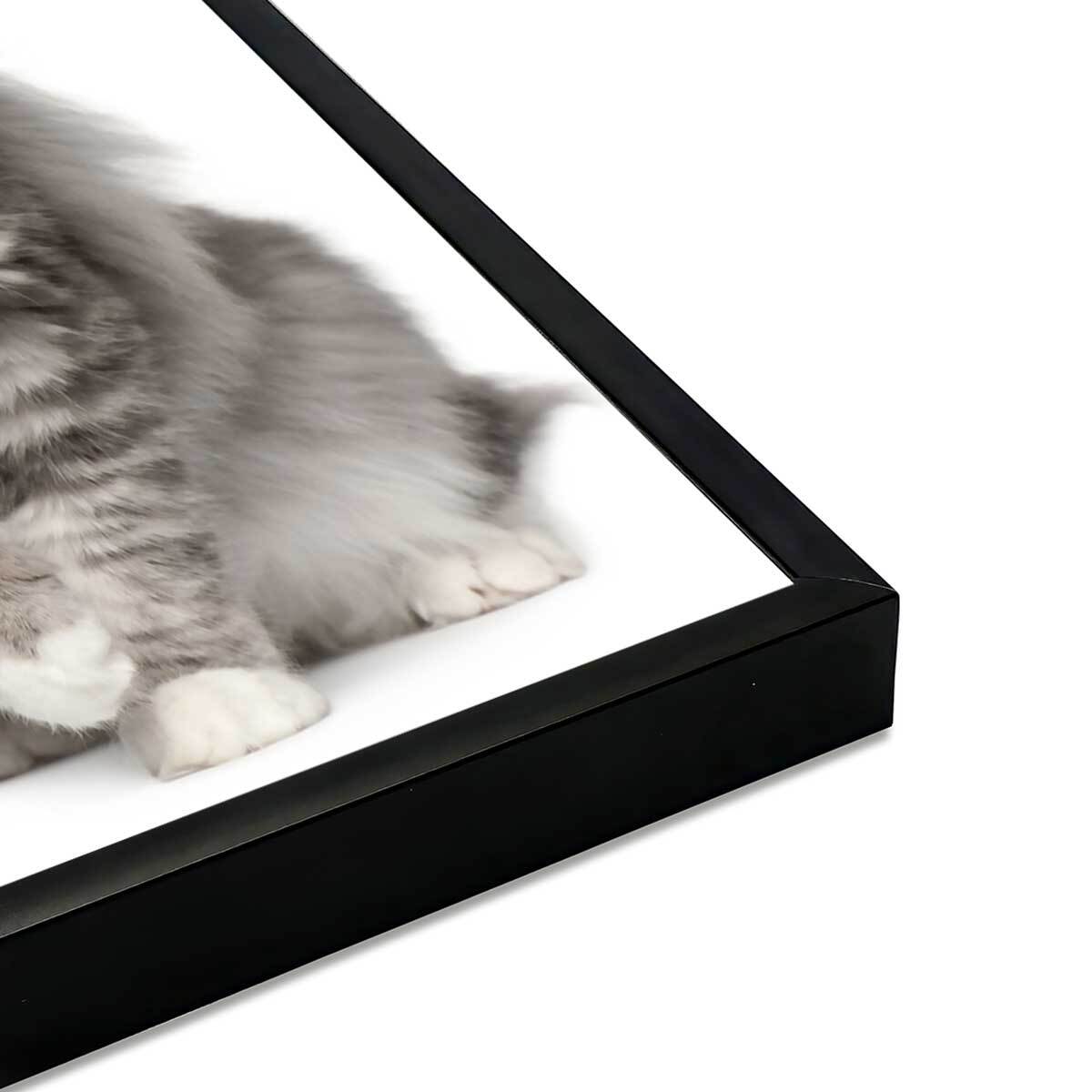 Affiche encadrée chat élégant au pelage majestueux Affiche + cadre en métal - Noir