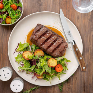 Ryokan - Coffret palette 4 couteaux steak