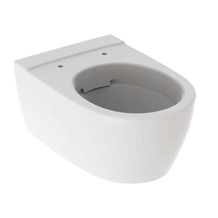 iCon Cuvette suspendue sans bride, Blanc (204.060.000)