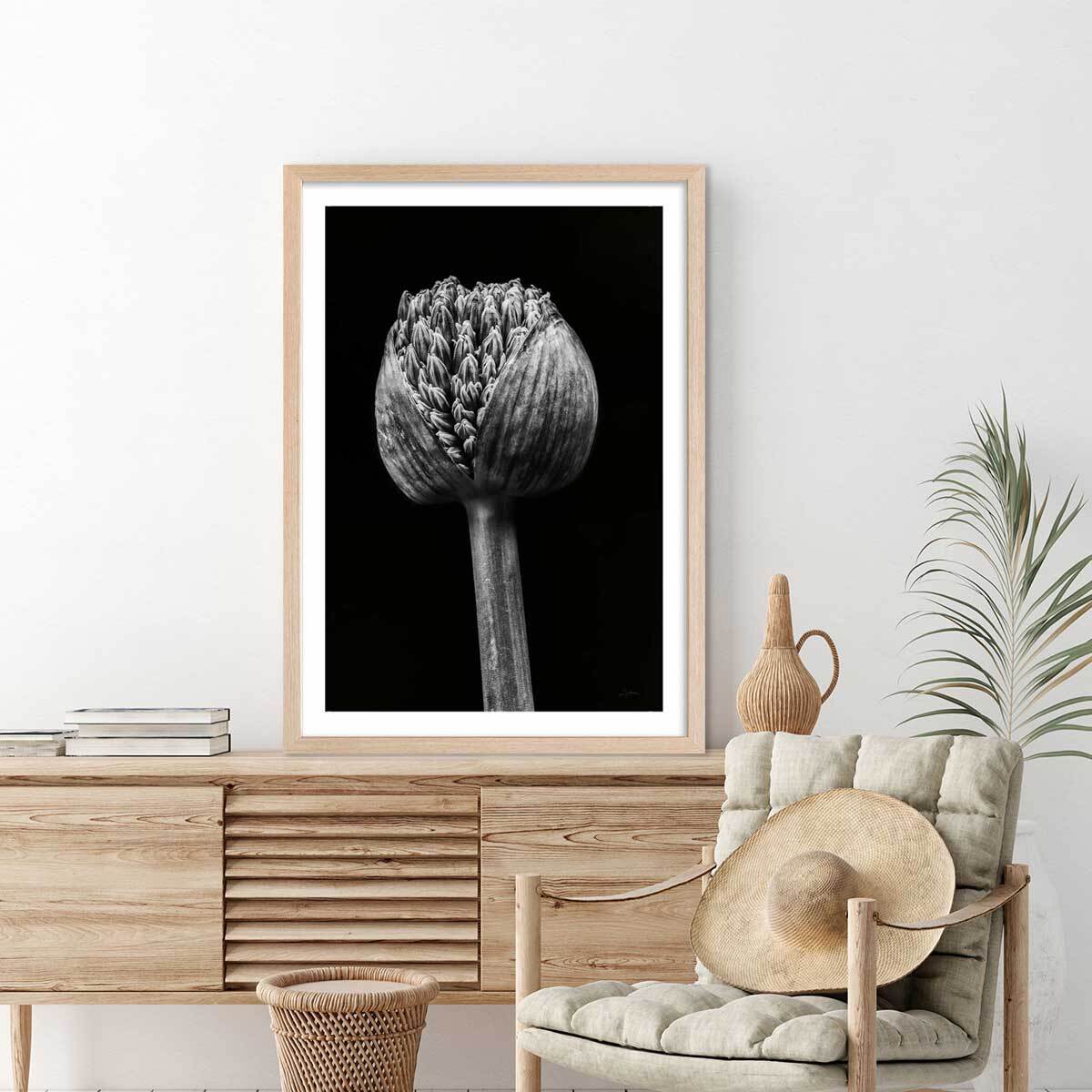 Poster tropical spring palm Affiche sous cadre bois