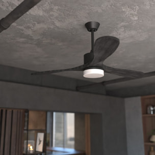 Ventilatori da soffitto EnergySilence Aero 5290 Stone Pro Cecotec