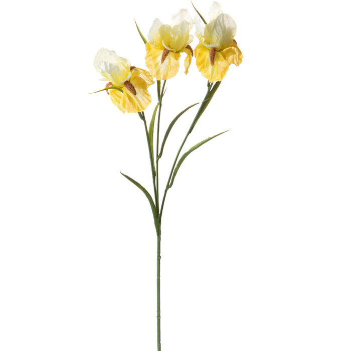 Iris 60 Cm Per 3 Fiori - Pezzi 12 - 15X60X16cm - Colore: Giallo - Bianchi Dino - Fiori Artificiali