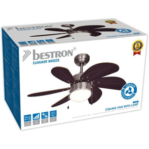 Ventilateur BESTRON DC30BC