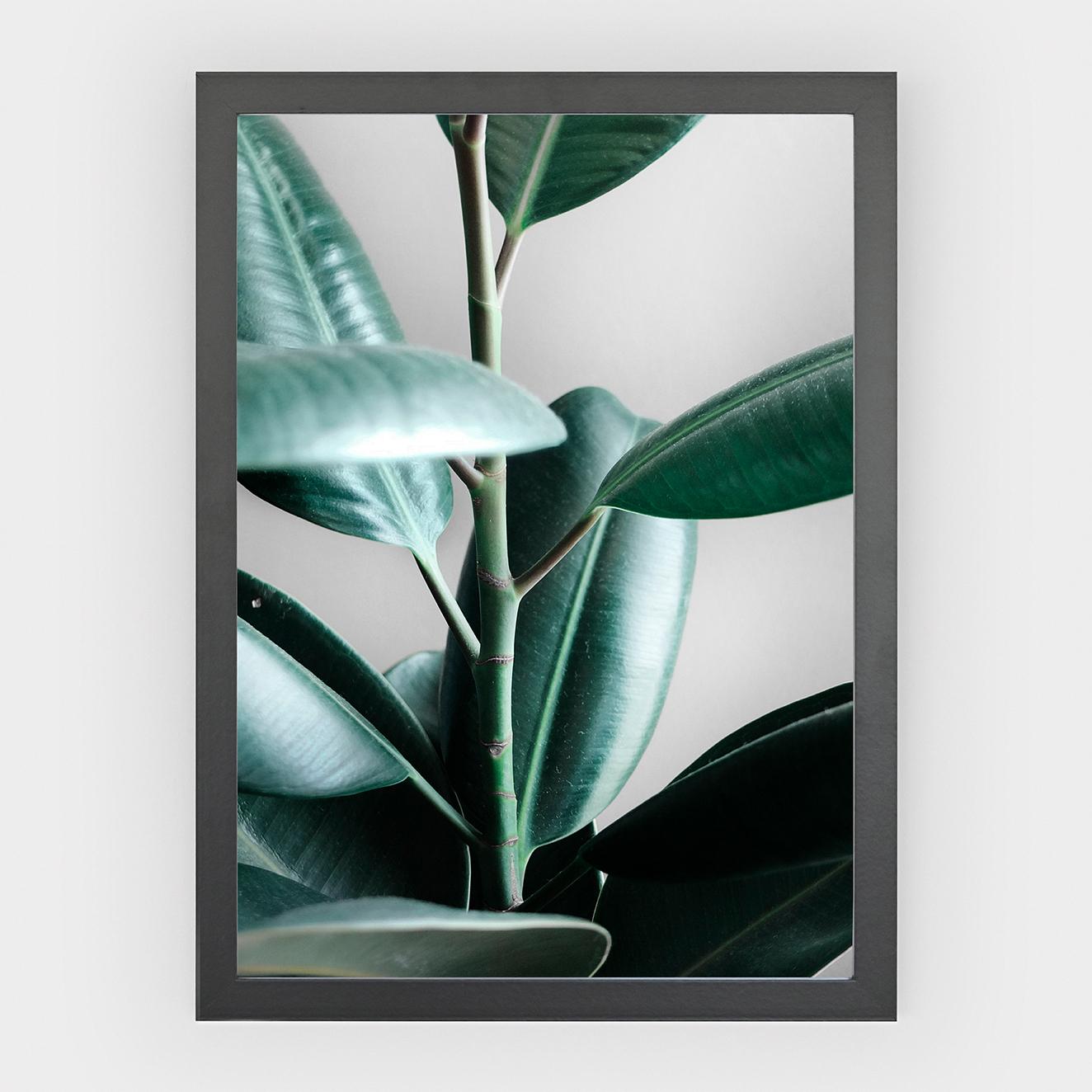 Poster Leaf II