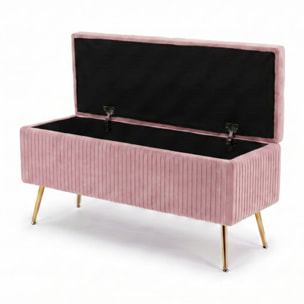Panca Contenitore in Effetto Velluto a Coste con Ampio Vano Contenitore, Seduta Imbottita e Gambe in Acciaio, Design Moderno per Camera da Letto, Ingresso e Soggiorno