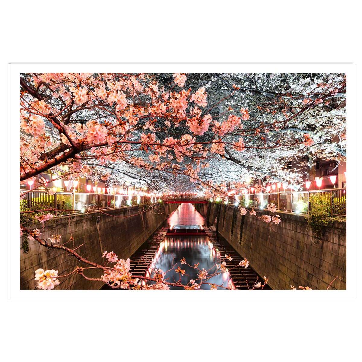Affiche photo cerisiers et hanami à tokyo Affiche seule