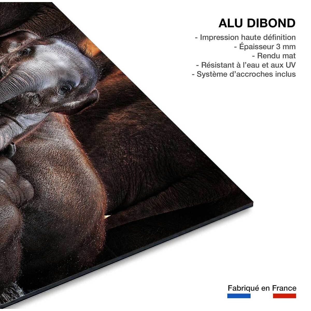 Tableau éléphant petit prince Tableau alu Dibond