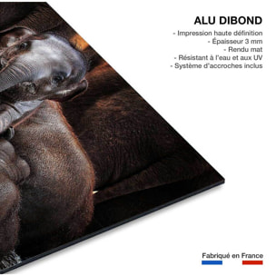 Tableau éléphant petit prince Tableau alu Dibond
