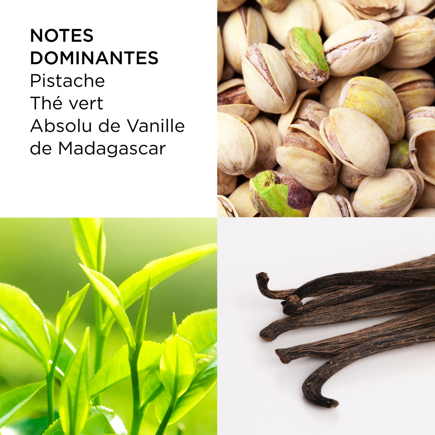 Green Tea Pistachio Crunch - Crème Nectar au Miel pour le Corps 500 ml