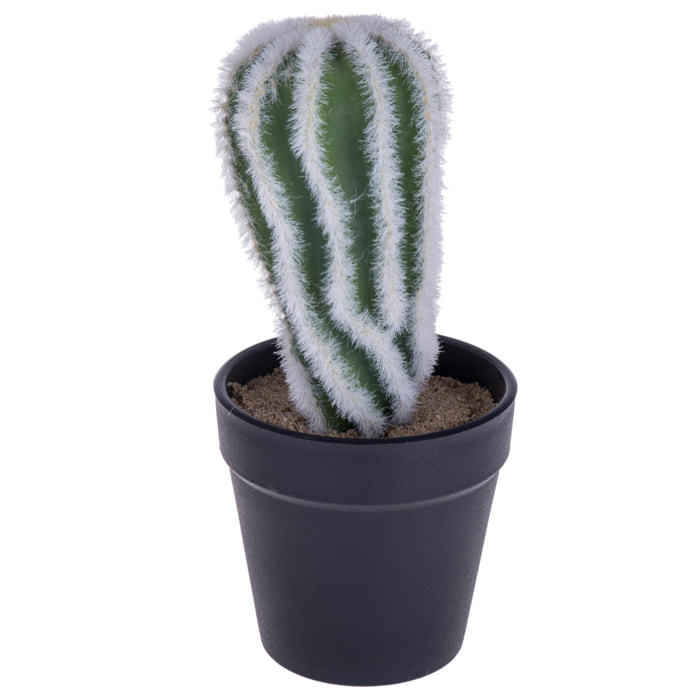 Cactus Con Vaso. Altezza 20 Cm - Pezzi 6 - 9,5X20X9,5cm - Colore: Bianco - Bianchi Dino - Piante Artificiali