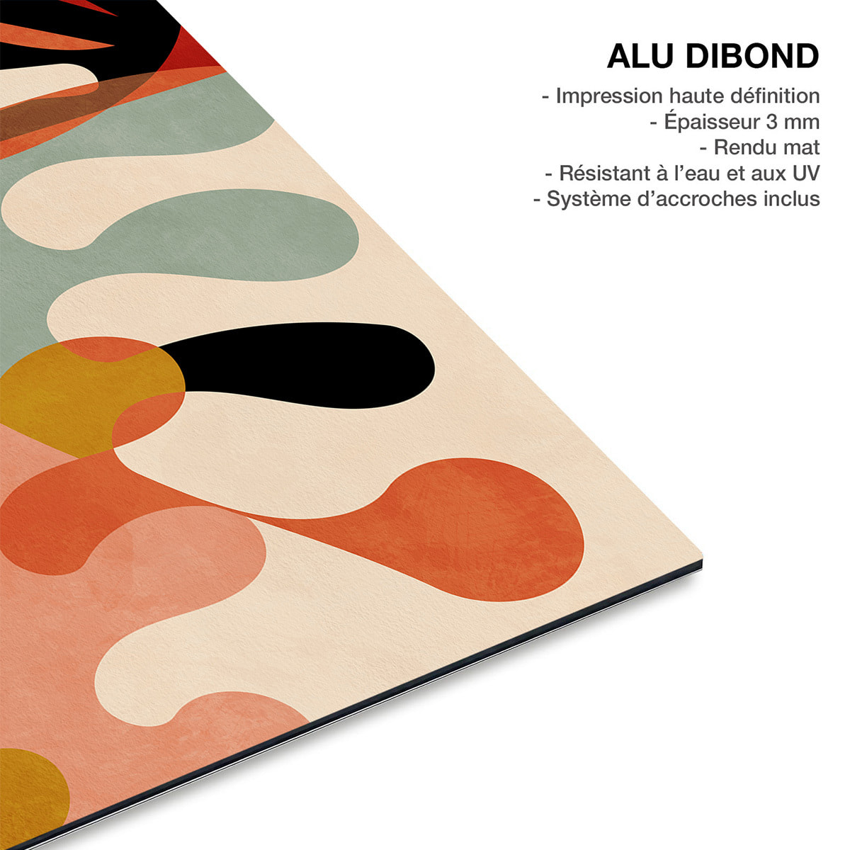 Tableau art abstrait Arabesques abstraites Tableau alu Dibond